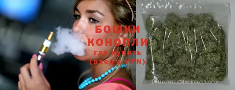 где купить наркоту  Лениногорск  Конопля Ganja 